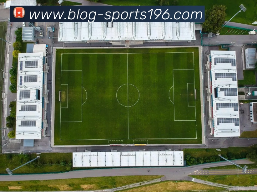 196体育平台生态图